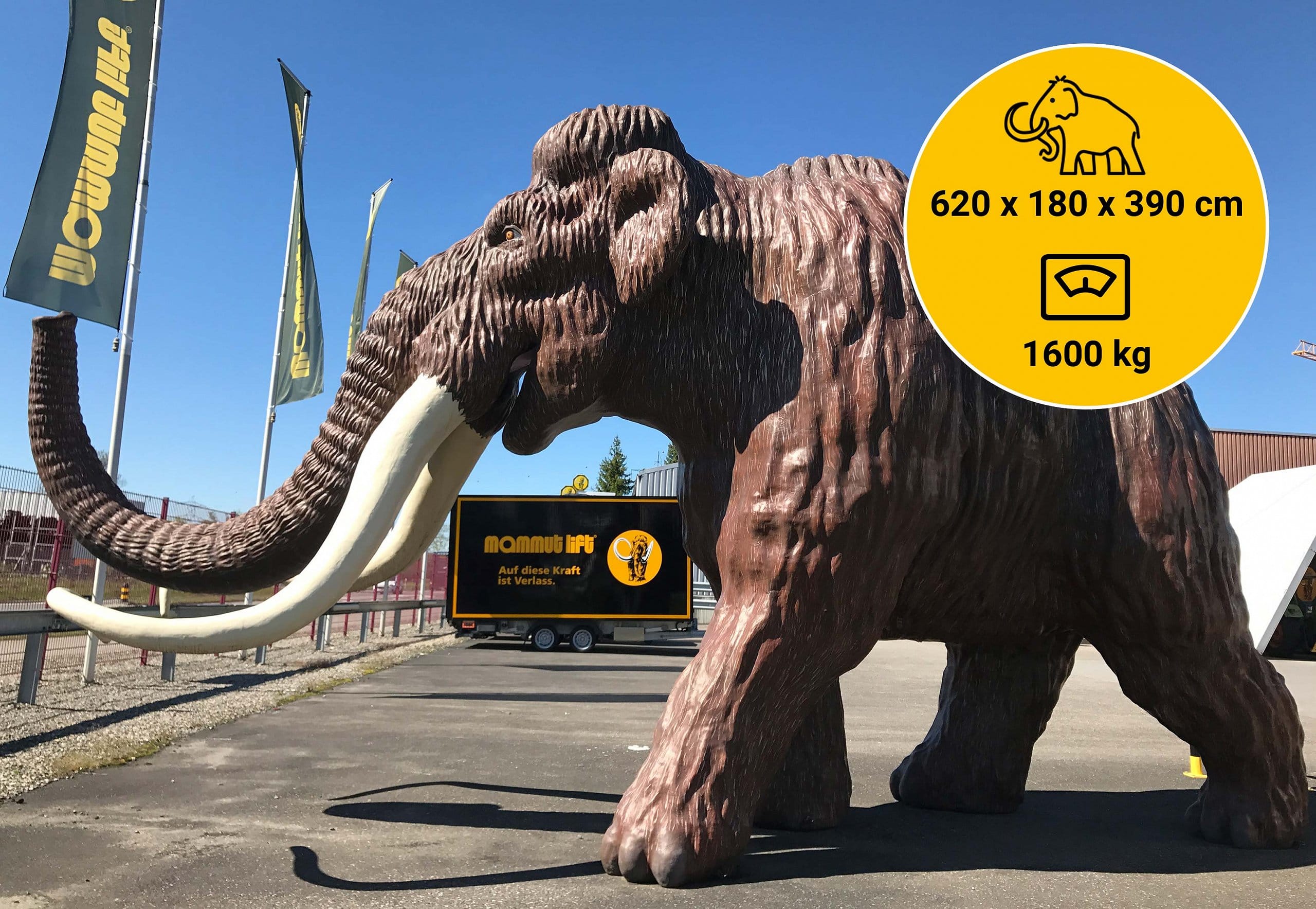 Unser Mammut in voller Grösse!
